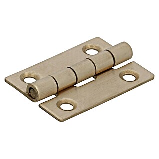 Stabilit Scharnier (L x B: 38 x 25 mm, Messing)