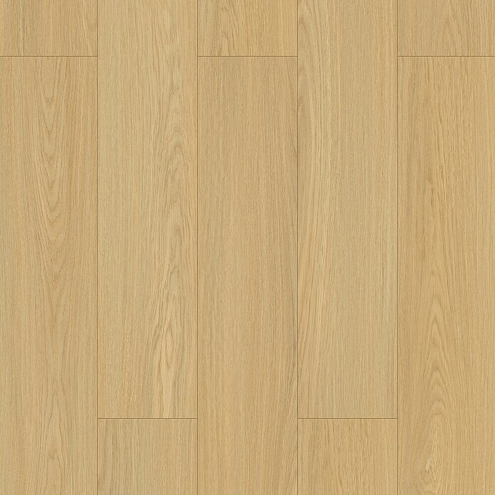 Suelo vinílico SPC Coimbra (1.520 x 180 x 5,5 mm, Beige, Resistente al agua) | BAUHAUS