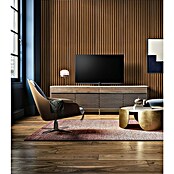 Panel acústico decorativo (244 x 60,5 x 2,2 cm, Roble) | BAUHAUS