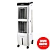 Rointe Climatizador evaporativo Ipanema 45 