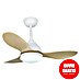 Cristal Record Ventilador de techo Stel mini 