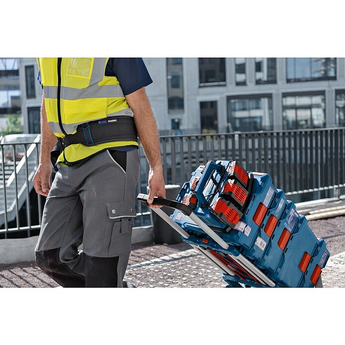 Bosch Professional AMPShare 18V Cargador de baterías GAL 18V6-80 (Específico para: Baterías Bosch Professional 18V) | BAUHAUS