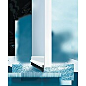 tesa MOLL Burlete para puerta textil (Transparente, 1 m x 43 mm, Apto para: Desajustes de hasta 15 mm de ancho)