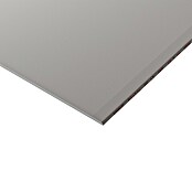 Knauf Feuerschutzplatte GKF (2 000 x 1 250 x 12,5 mm) | BAUHAUS