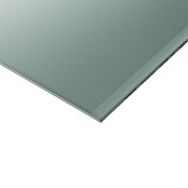 Knauf Feuerschutzplatte GKFI (2 000 x 1 250 x 12,5 mm, Imprägniert) | BAUHAUS