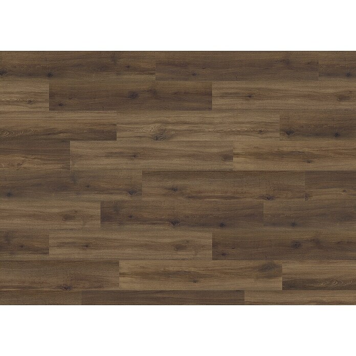 Living by Haro Hydrostar Designboden (Eiche Schokobraun, Landhausdiele, 1 282 x 235 x 6,5 mm) | BAUHAUS