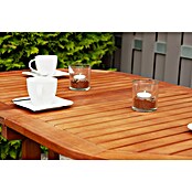 Garden Pleasure Gartentisch Baltimore (L x B x H: 120 x 70 x 73 cm, Eukalyptus, Natur, Oval, Klappbar) | BAUHAUS