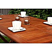 Garden Pleasure Gartentisch Orlando (L x B x H: 120 x 70 x 74 cm, Eukalyptus, Natur, Klappbar) | BAUHAUS