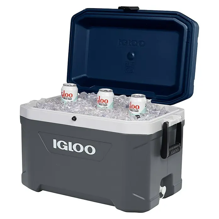 Igloo Kühlbox Maxcold - L x B x H: 63,4 x 38,3 x 40,9 cm, 51 l, Anthrazit/Blau - Dunkelgraue und weiße Igloo Kühlbox mit offenem blauen Deckel, gefüllt mit Eis und drei Markendosen.