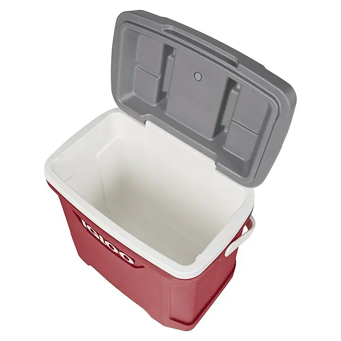 Igloo Kühlbox Latitude - 28 l, L x B x H: 45,7 x 30,1 x 43,8 cm, Rot/Grau - Geöffnete rote Igloo-Kühlbox mit weißem Innenraum und grauem Deckel, von oben gesehen.