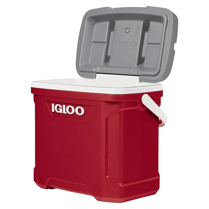 Igloo Kühlbox Latitude - 28 l, L x B x H: 45,7 x 30,1 x 43,8 cm, Rot/Grau - Rote Igloo-Kühlbox mit weißem Deckel und Griff, geöffneter Deckel zeigt grauen Innenraum.