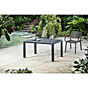 Keter Silla de jardín Metaline (An x Pr x Al: 60 x 53 x 81 cm, Antracita) | BAUHAUS