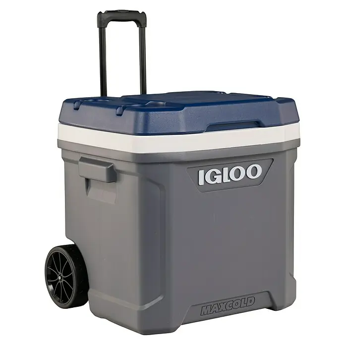 Igloo Kühlbox Maxcold - L x B x H: 53,2 x 46,9 x 53,6 cm, 58 l, Anthrazit/Blau - Graue Igloo MaxCold Kühlbox mit blauem Deckel, weißem Band, Rädern und ausziehbarem Griff.