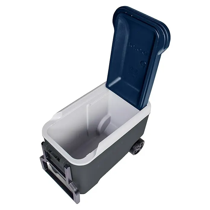 Igloo Kühlbox Maxcold - L x B x H: 58,4 x 32,7 x 44,1 cm, 38 l, Anthrazit/Blau - Offene Igloo-Kühlbox mit Rollen, dunkelblauem Deckel, weißem Innenraum und dunkelgrauem Gehäuse.