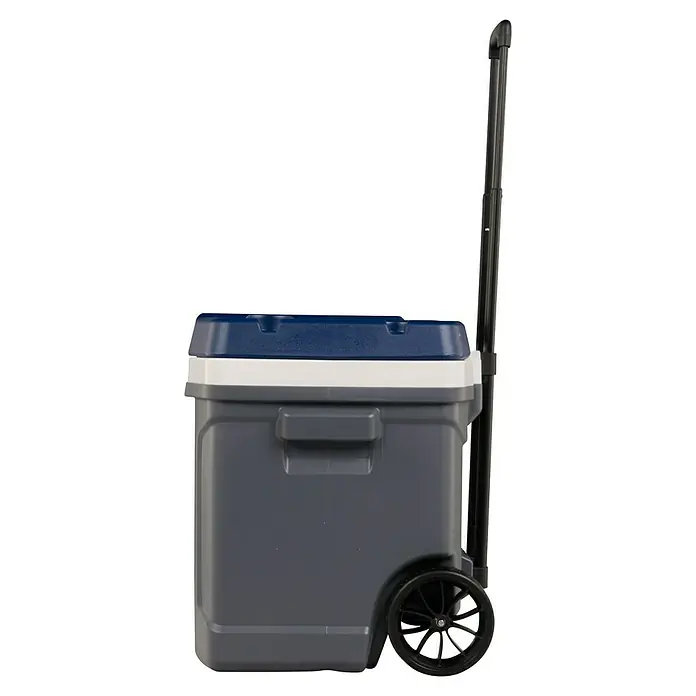 Igloo Kühlbox Maxcold - L x B x H: 53,2 x 46,9 x 53,6 cm, 58 l, Anthrazit/Blau - Dunkelgraue Rollkühlbox mit blauem Deckel, weißem Streifen und schwarzem Teleskopgriff.