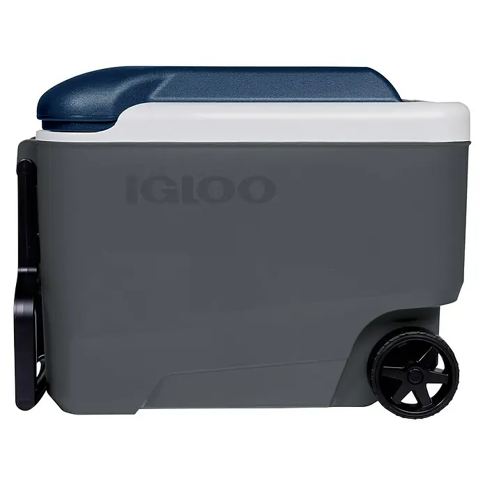 Igloo Kühlbox Maxcold - L x B x H: 58,4 x 32,7 x 44,1 cm, 38 l, Anthrazit/Blau - Graue und weiße Kühlbox mit dunkelblauem Deckel, schwarzen Rädern und ausziehbarem Griff.