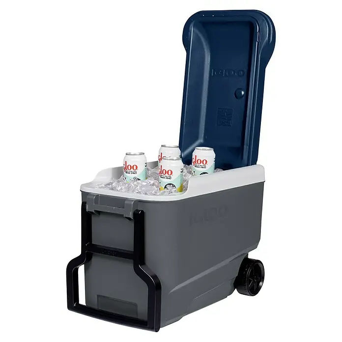 Igloo Kühlbox Maxcold - L x B x H: 58,4 x 32,7 x 44,1 cm, 38 l, Anthrazit/Blau - Graue Igloo Rollkühlbox mit geöffnetem dunkelblauem Deckel, gefüllt mit Eis und Igloo Dosen.