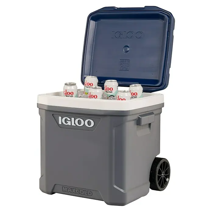 Igloo Kühlbox Maxcold - L x B x H: 53,2 x 46,9 x 53,6 cm, 58 l, Anthrazit/Blau - Graue Igloo MaxCold Kühlbox auf Rollen mit offenem blauem Deckel, gefüllt mit Eis und Dosen.