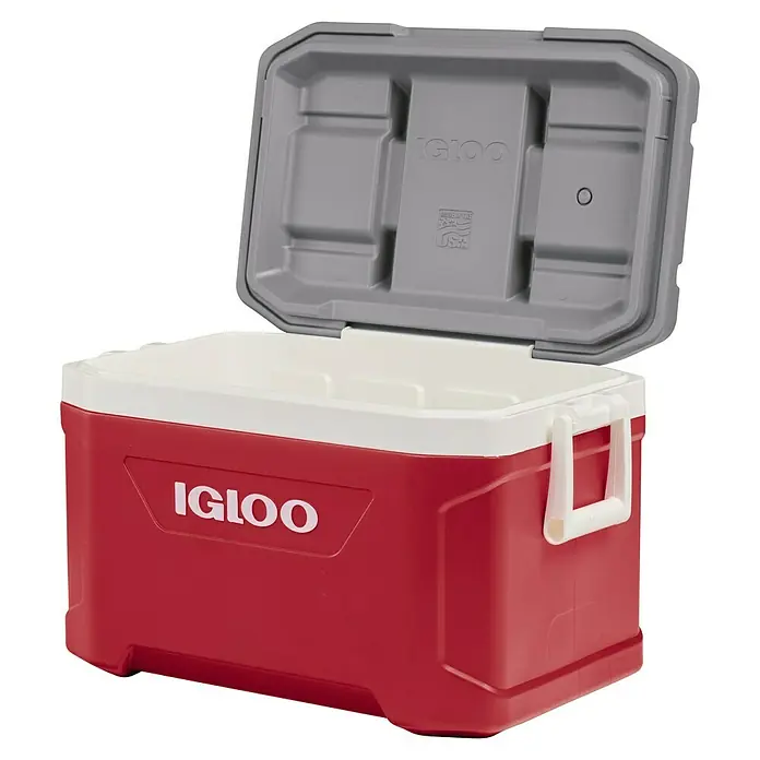 Igloo Kühlbox Latitude - 49 l, L x B x H: 63,4 x 37,1 x 38,6 cm, Rot/Grau - Rote und weiße Igloo-Kühlbox mit geöffnetem Deckel, der ein graues Inneres zeigt.