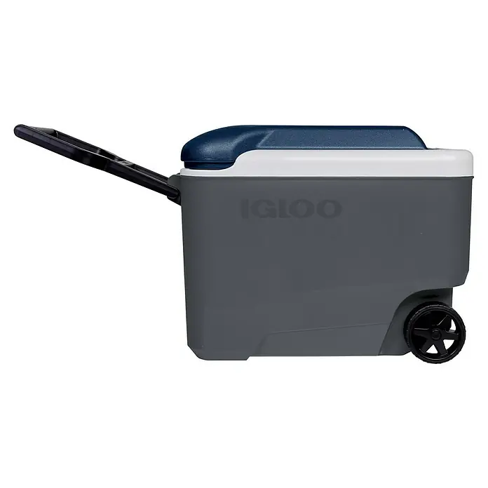 Igloo Kühlbox Maxcold - L x B x H: 58,4 x 32,7 x 44,1 cm, 38 l, Anthrazit/Blau - Ein grauer Igloo Rollkühler mit blauem Deckel, weißer Zierleiste und ausziehbarem schwarzem Griff.