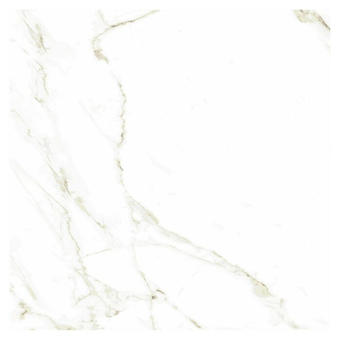 Halcón Porculanska pločica Naos Gold Mate Satinado  (60,5 x 60,5 cm, Bijela, Mat) | BAUHAUS