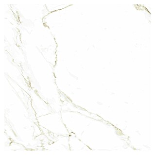Halcón Podna pločica Naos Gold Mate Satinado (60,5 x 60,5 cm, Bijela, Mat)