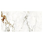 Halcón Podna pločica Barnaby Super White Mate  (30 x 60 cm, Mat) | BAUHAUS