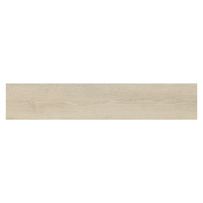 Halcón Podna pločica Muse Arce Mate  (22,5 x 119,6 cm, Mat) | BAUHAUS