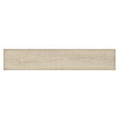 Halcón Podna pločica Muse Arce Mate  (22,5 x 119,6 cm, Mat) | BAUHAUS