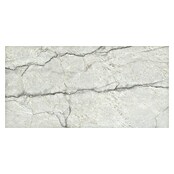 Cersanit Porculanska pločica Piove Light Grey Polished  (60 x 120 cm, Sjaj) | BAUHAUS
