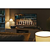 EcoFlow Prijenosna energetska stanica River 3 Plus  (286 Wh, Crna) | BAUHAUS