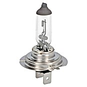 UniTEC Halogen-Scheinwerferlampe (H7, 1 Stk.)
