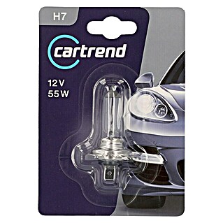 UniTEC Halogen-Scheinwerferlampe (H7, 1 Stk.)