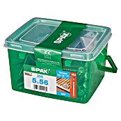 SPAX TERASSENSCHR.  BOLD 5x56