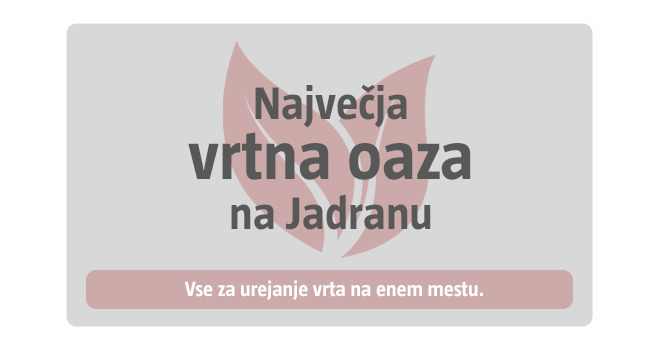 Vrta oaza