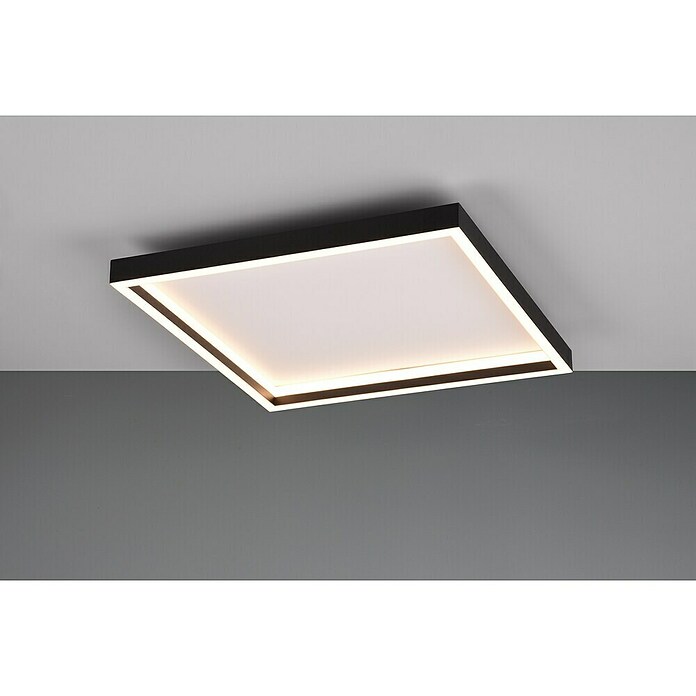 Trio Leuchten LED stropna svjetiljka Rotonda  (20 W, Topla bijela) | BAUHAUS