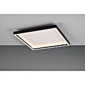 Trio Leuchten LED stropna svjetiljka Rotonda  (20 W, Topla bijela) | BAUHAUS