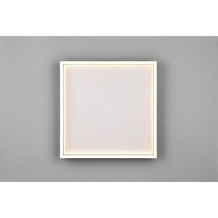 Trio Leuchten LED stropna svjetiljka Rotonda  (20 W, Topla bijela) | BAUHAUS