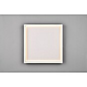 Trio Leuchten LED stropna svjetiljka Rotonda  (20 W, Topla bijela) | BAUHAUS