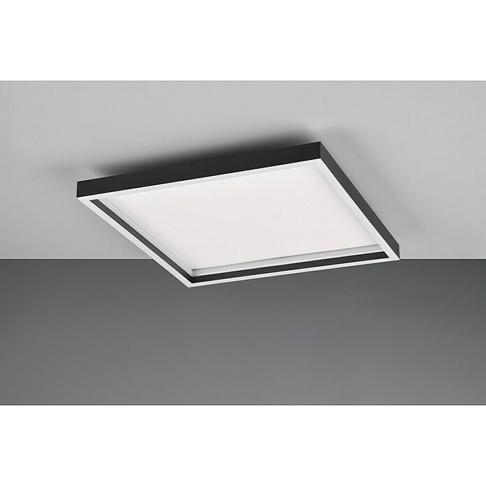 Trio Leuchten LED stropna svjetiljka Rotonda  (20 W, Topla bijela) | BAUHAUS