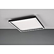 Trio Leuchten LED stropna svjetiljka Rotonda  (20 W, Topla bijela) | BAUHAUS