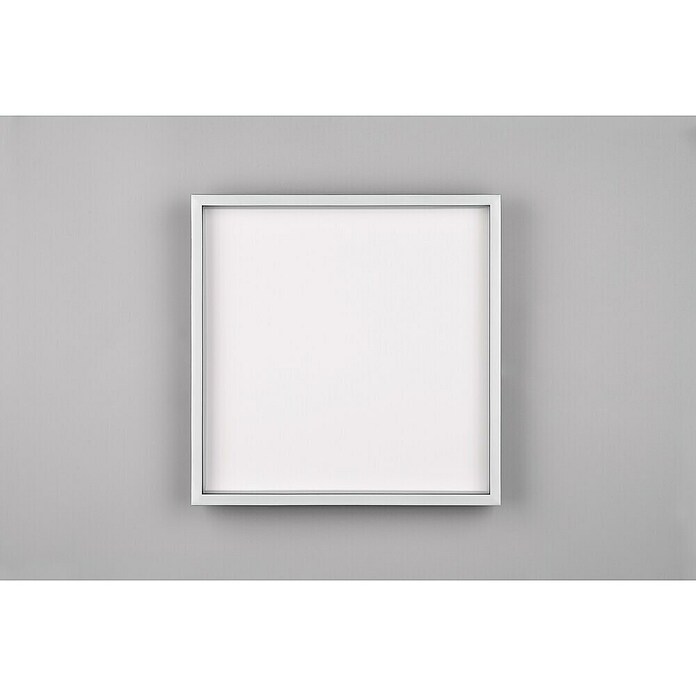 Trio Leuchten LED stropna svjetiljka Rotonda  (20 W, Topla bijela) | BAUHAUS