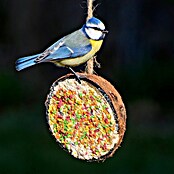 Dobar Wildvogelfutter gefüllte Kokosnusshälfen (10 Stück zu je 200g, Mit Kordel) | BAUHAUS