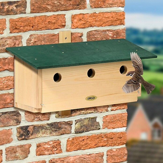 Dobar Nistkasten für Spatzen (L x B x H: 50 x 22 x 30 cm, Natur, Grün, Holz) | BAUHAUS