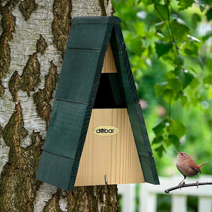 Dobar Nistkasten für Zaunkönig (L x B x H: 16 x 16,5 x 28 cm, Grün, Natur, Holz) | BAUHAUS