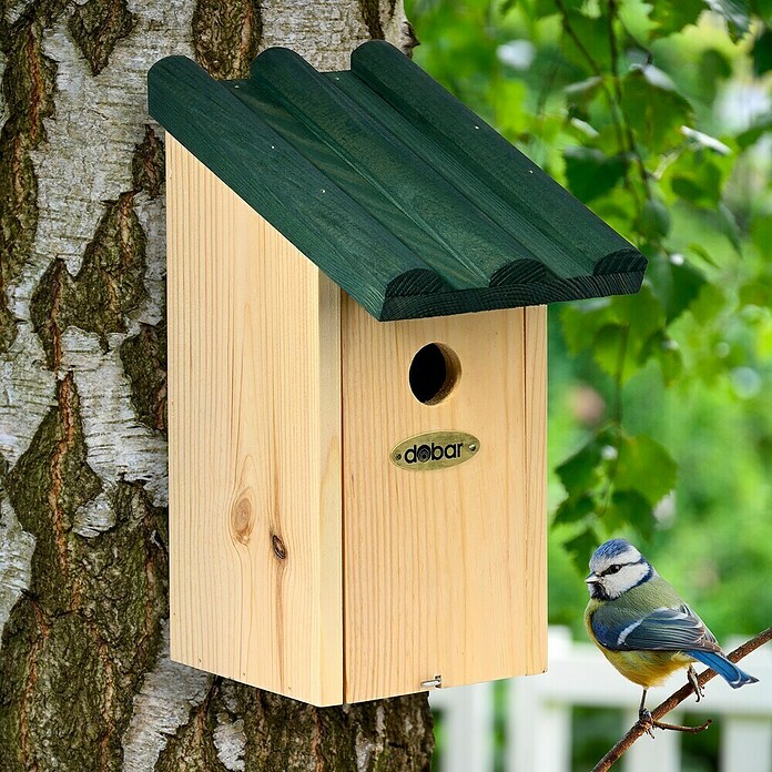 Dobar Nistkasten für Meisen (14 x 18,5 x 27,7 cm, Holz, Natur, Grün) | BAUHAUS