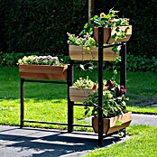 Dobar Hochbeet Flexi (L x B x H: 165 x 18 x 105 cm, Holz, Schwarz, Braun, Natur) | BAUHAUS