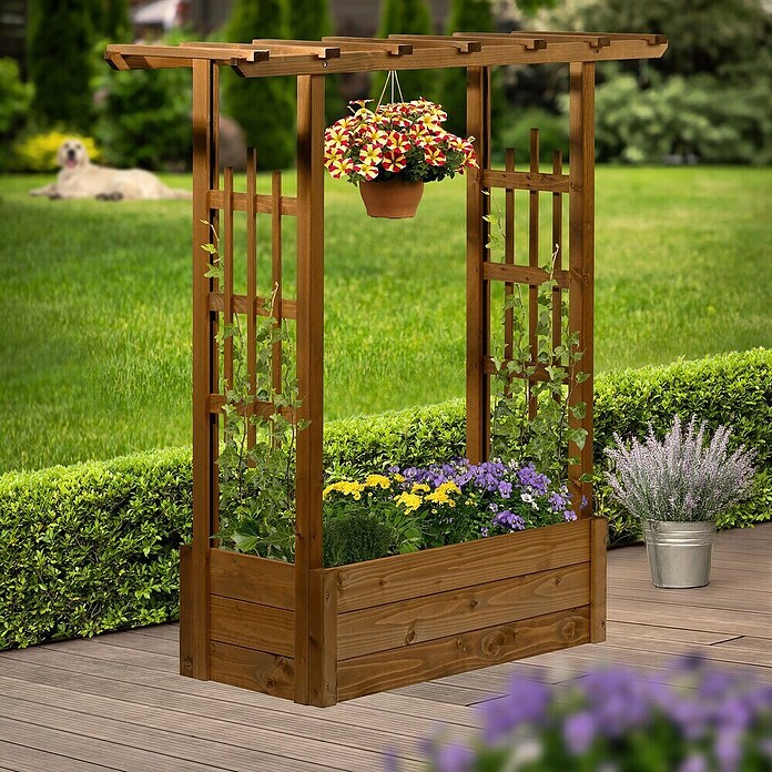 Dobar Pflanzkasten Pergola (Außenmaß (L x B x H): 117 x 39 x 119 cm, Holz, Dunkelbraun) | BAUHAUS