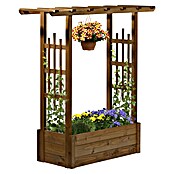 Dobar Pflanzkasten Pergola (Außenmaß (L x B x H): 117 x 39 x 119 cm, Holz, Dunkelbraun) | BAUHAUS