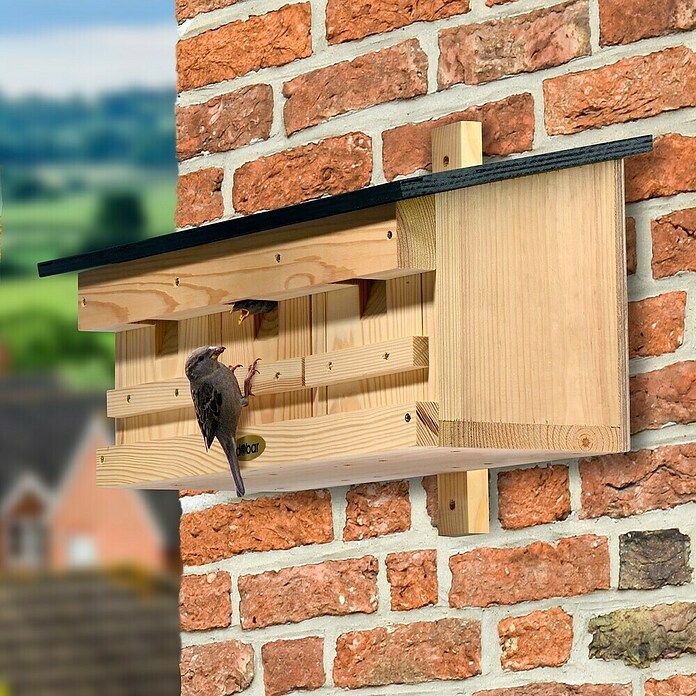 Dobar Nistkasten für Spatzen (50 x 22 x 30 cm, Holz, Natur) | BAUHAUS